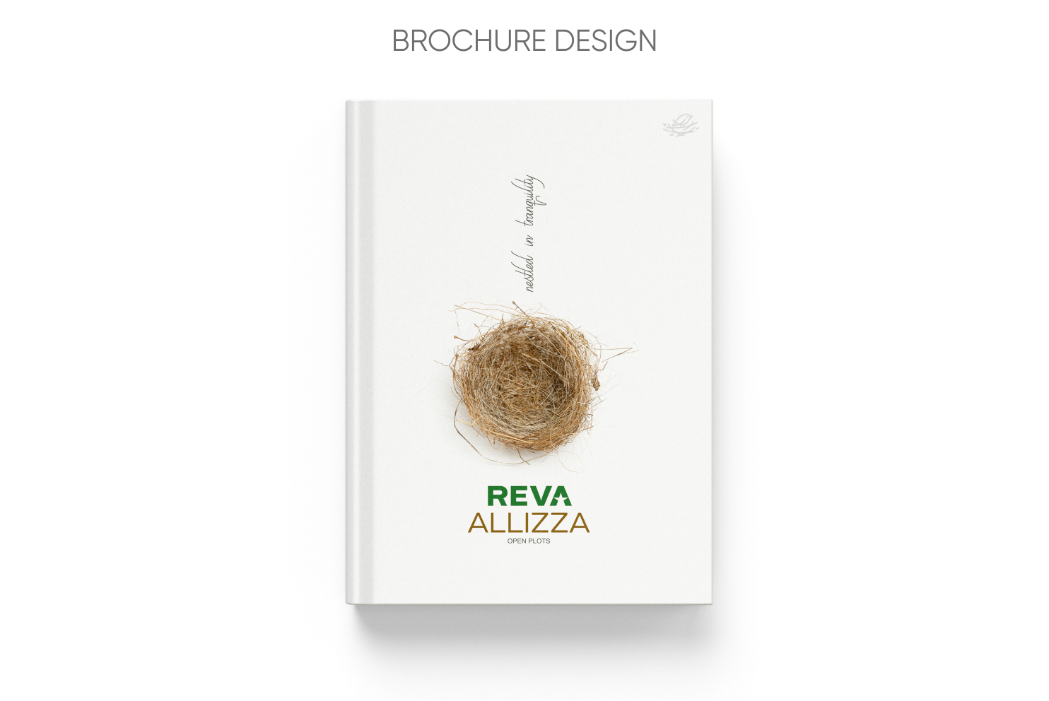 Reva Allizza 14